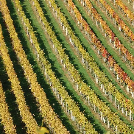 Winzerhof Familie Kloeckl *