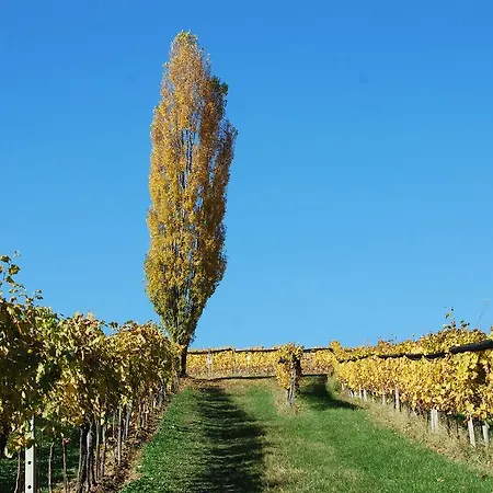 Privatunterkunft Winzerhof Familie Kloeckl Klöch