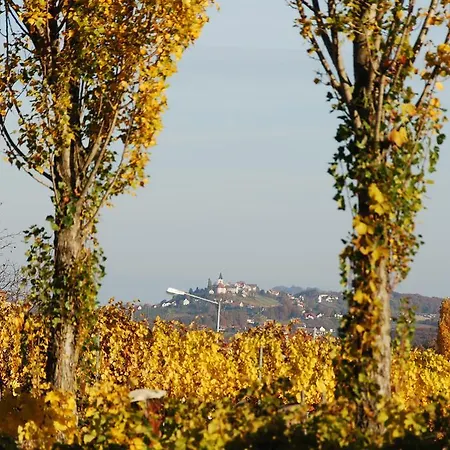 Winzerhof Familie Kloeckl * Klöch
