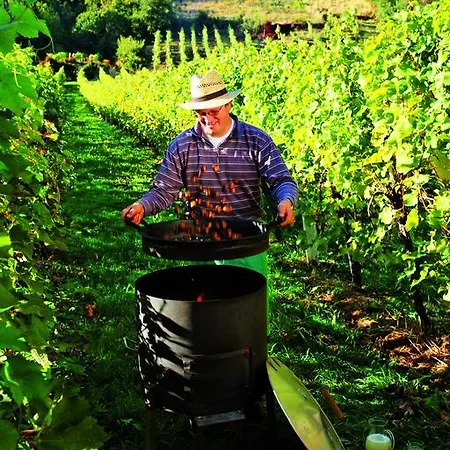 Winzerhof Familie Kloeckl