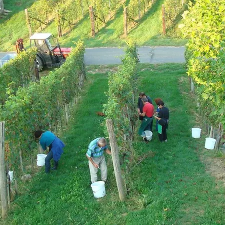 Winzerhof Familie Kloeckl Privatunterkunft *