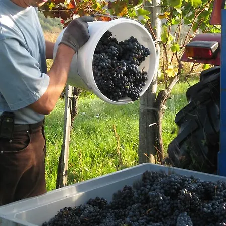 Winzerhof Familie Kloeckl Klöch