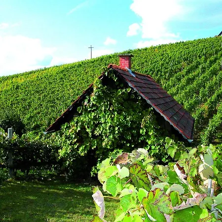 Winzerhof Familie Kloeckl Privatunterkunft Klöch