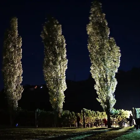 Privatunterkunft Winzerhof Familie Kloeckl *