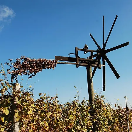 Privatunterkunft Winzerhof Familie Kloeckl
